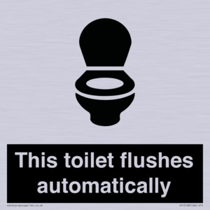 This toilet flushes automatically
